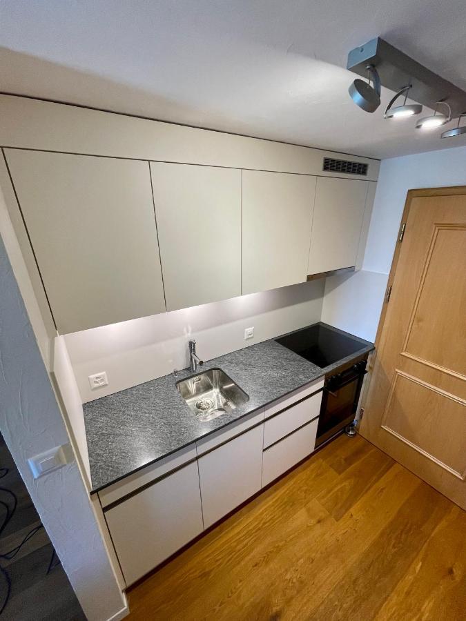 Apartament Mischabelblick Fiesch Zewnętrze zdjęcie